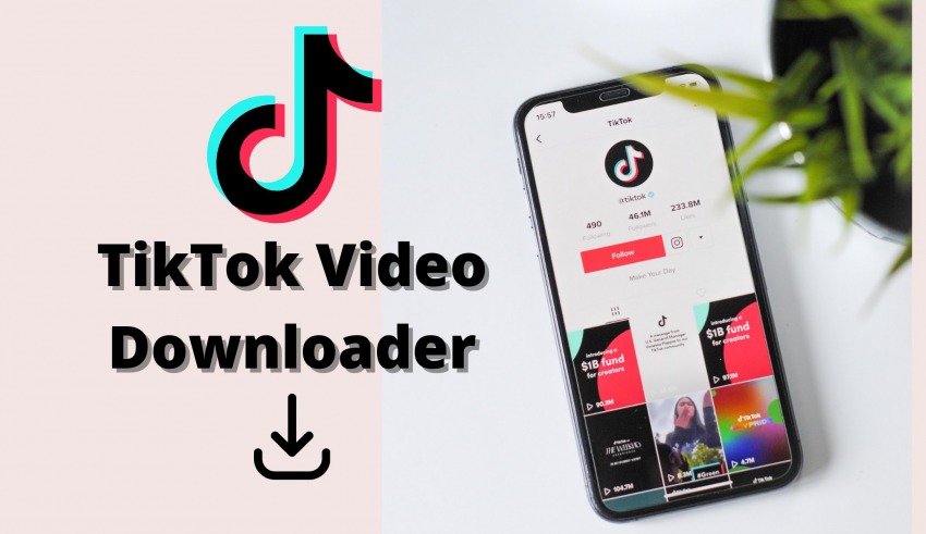 Tiktok Video Downloaders